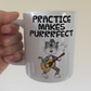Cat Acoustic Guitar Mug - Practice Makes Purrrfect - Funny Gift For Guitarist - Music Teacher Gift